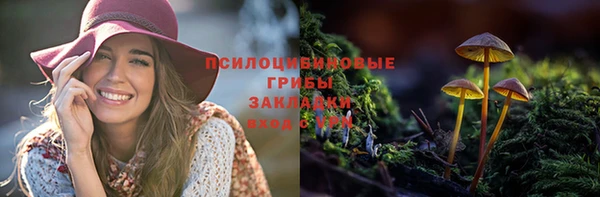 прущие крисы Алзамай
