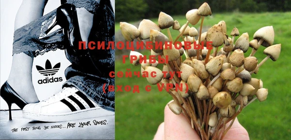 шишки Пролетарск