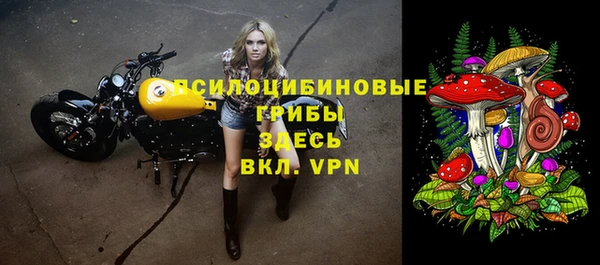 ALPHA PVP Алексеевка