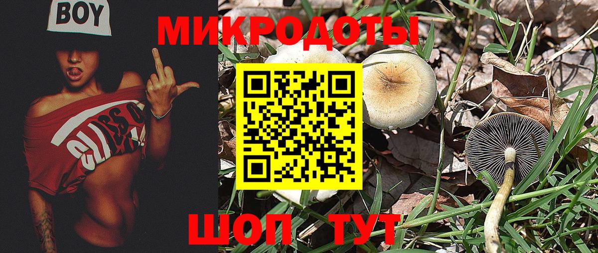 Галлюциногенные грибы Magic Shrooms Слободской